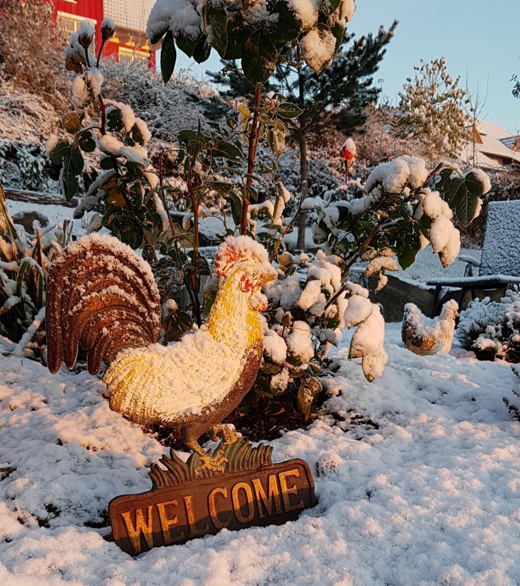 Hotel Und Landgasthof Zum Bockshahn Spessart  ภายนอก รูปภาพ